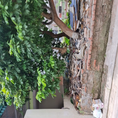 62m2 đất ngõ phố kinh doanh Cửu Việt, Trâu Quỳ, Gia Lâm. 8 tỷ 0xx. Lh 0989894845