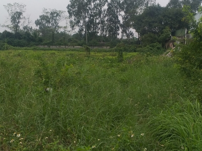 Bán 3ha đất công nghiệp tại Văn Giang, Hưng Yên. Cách mặt đường 379 khoảng 300m