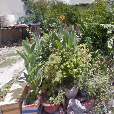 O1720 ???????? Giảm 800tr! đất Phan Văn Hớn Q12, SHR, Vuông, HXT, 8x18m, 5.x tỷ