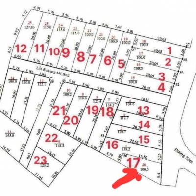 BÁN ĐẤT BA VÌ SỔ ĐỎ HÀ NỘI-100M-GIÁ SỐC 330 TRIỆU