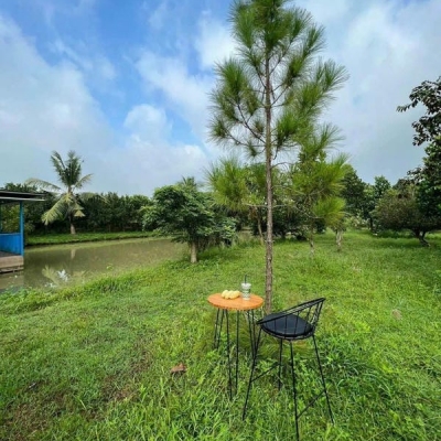 Chính chủ cần bán nhà vườn 2000m. Có nhà nhỏ vườn cây. Giá 300tr