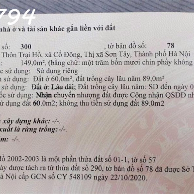 Chính chủ (không qua môi giới) bán đất thôn Trại Hồ, Cổ Đông, Sơn Tây, giá: 18tr/m2, 149m2