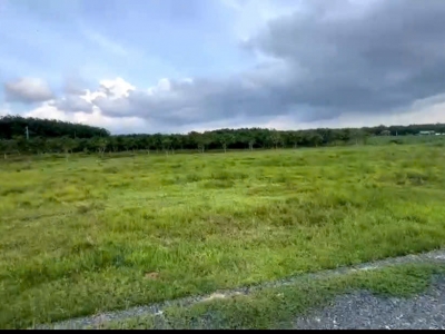 Bán Gấp Lô Đất Đẹp Giá Tốt DT 3.700m² Tại Tân Hòa, Tân Bình, TP. Tây Ninh