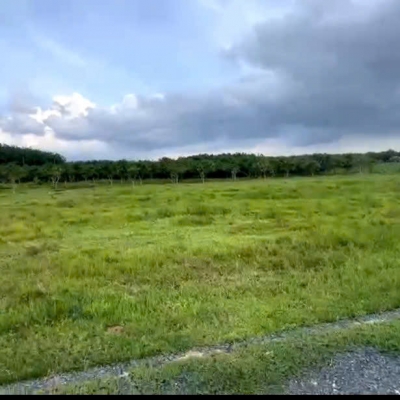 Bán Gấp Lô Đất Đẹp Giá Tốt DT 3.700m² Tại Tân Hòa, Tân Bình, TP. Tây Ninh