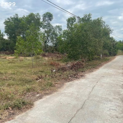 Bán 1912m2 đất ONT Tân Phước - TX LaGi cách Biển 500m chính chủ