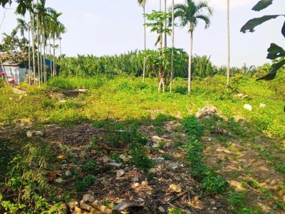 Chủ kẹt tiền cần bán lô đất tại MT đường DX 017 có 1000 m² đất ở., Cẩm Thanh giá 20 tỷ