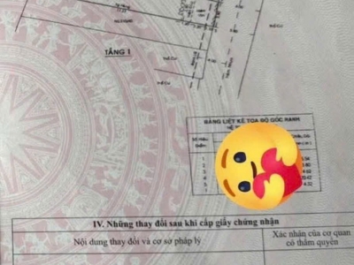 Nhà hẻm 310/38 Phạm Văn Chiêu, Phường 9, Gò Vấp, Hẻm 6m thông, 4x26m, Cn 102,3 m2, Cấp 4, 8,9 tỷ TL