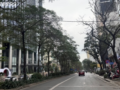 BÁN BIỆT THỰ LÔ GÓC LÁNG HẠ - ĐỐNG ĐA - 430M2 - MT 16M - Ô TÔ ĐỖ NGÀY ĐÊM - 83 TỶ