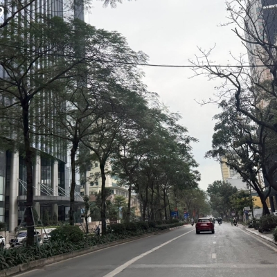 BÁN BIỆT THỰ LÔ GÓC LÁNG HẠ - ĐỐNG ĐA - 430M2 - MT 16M - Ô TÔ ĐỖ NGÀY ĐÊM - 83 TỶ