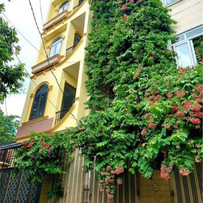Nhà Đất Thánh Phường 6 Quận Tân Bình.