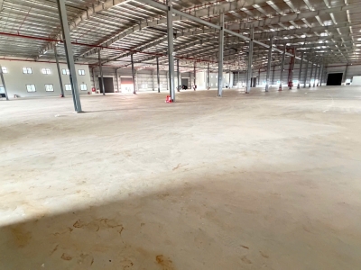 XT204 cho thuê nhà xưởng kiên cố, đáp ứng linh hoạt ngành nghề, khung thép kiên cố