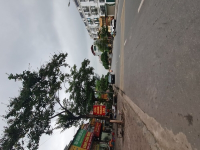 Bán đất Trâu Quỳ – Gia Lâm – Hà Nội 121m2 mặt đường 12m. Lh 0989894845