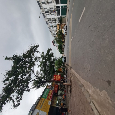 Bán đất Trâu Quỳ – Gia Lâm – Hà Nội 121m2 mặt đường 12m. Lh 0989894845