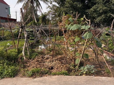 BÁN ĐẤT TÂN THÀNH DƯƠNG KINH 98M2 – NGÕ BÊ TÔNG RỘNG – GIÁ ĐẦU TƯ HIẾM  ZALO 0567 222 555