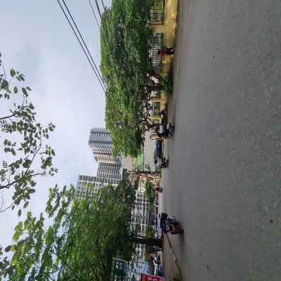 ✨ Bán Gấp Lô Đất Biệt Thự 190m2 - Đa Tốn, Gia Lâm, Hà Nội ✨  Lh 0989894845