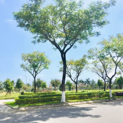 NHÀ ĐẸP 3 TẦNG NGAY CÔNG VIÊN THANH NIÊN,  ĐƯỜNG HOÀNG DƯ KHƯƠNG, KHUÊ TRUNG, CẨM LỆ, ĐÀ NẴNG