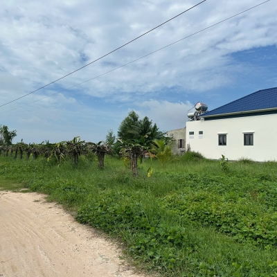 Bán 1.4 sào đất giảm 50% Tân Bình - LaGi chỉ 1.6 tỷ phủ hồng gần Biển