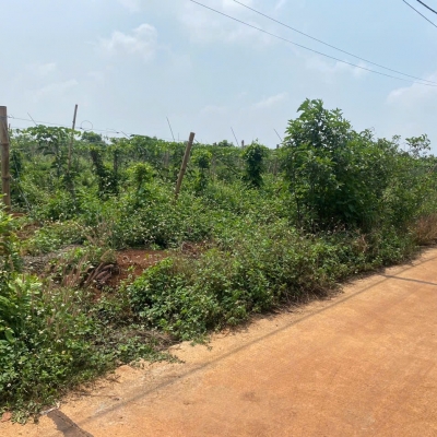 Nhanh tay sở hữu lô đất giá tốt nhất khu vực Biển Hồ – Pleiku!