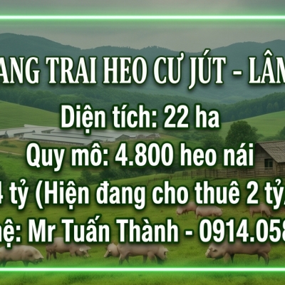 Siêu Trang Trại Heo 22ha - Thu Nhập cho thuê 24 Tỷ/Năm