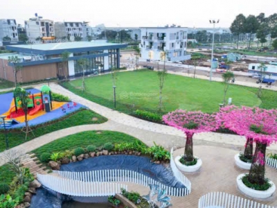 Cơ Hội Vàng Dầu Giây: Sổ Đỏ Từng Nền – Diện Tích 80–150m² – Thanh Khoản Cao