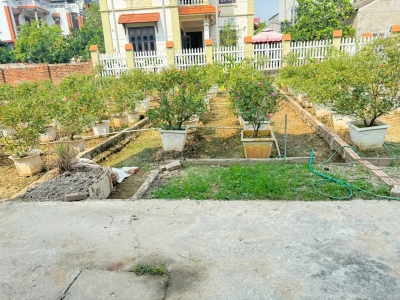 Bán đất Thôn Trung Hậu Đoài, Tiền Phong, Mê Linh - Sổ đỏ chính chủ, vị trí đắc địa
