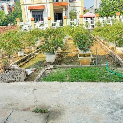 Bán đất Thôn Trung Hậu Đoài, Tiền Phong, Mê Linh - Sổ đỏ chính chủ, vị trí đắc địa