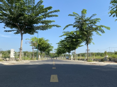 Richland Residence – Cơ hội sinh lời cao, pháp lý sổ đỏ từng nền