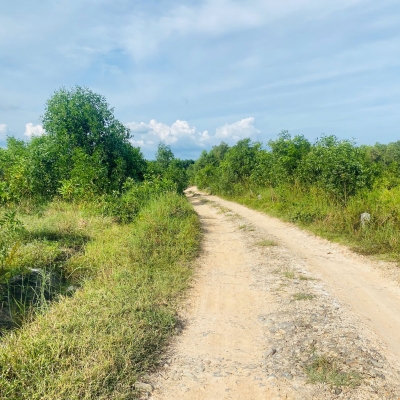 Bán 2.36 hecta đất Tân Phước - LaGi gái ngộp 211 triệu/ sào, sổ riêng đón đầu mặt tiền