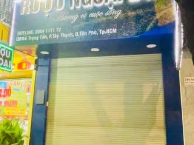 MẶT TIỀN KINH DOANH LÊ TRỌNG TẤN – ĐƯỜNG 30M CÓ LỀ – 93M² –  NHỈNH 15