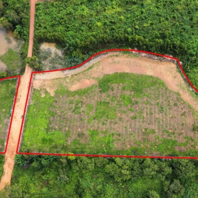 Đất Vườn Nghỉ Dưỡng View Hồ Trị An Xã Thanh Sơn Định Quán Đồng Nai