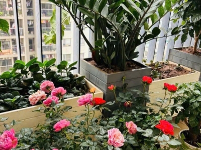 CHCC 3PN Chung cư Báo Nhân Dân – Lô góc – 95,6m² – 7.7 tỷ phố Trịnh Văn Bô