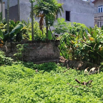 BÁN ĐẤT LÔ GÓC  37,7 M2 TẠI ĐỒNG MAI HÀ ĐÔNG, MT 3,6M GIÁ 2TY920