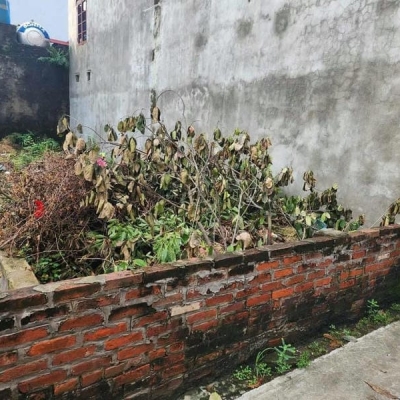 CẦN BÁN LÔ ĐẤT  TIỀM NĂNG SINH LỜI CAO P. HOÀNG DIỆU, TP. THÁI BÌNH GIÁ 600TR