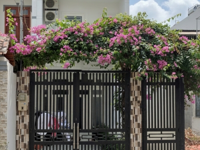 D1925 ⚡️⚡️ Giảm 100tr! nhà Mặt tiền Tân Thới Hiệp 9 Q12, SHR, Vuông, 4x25m, 6.x tỷ