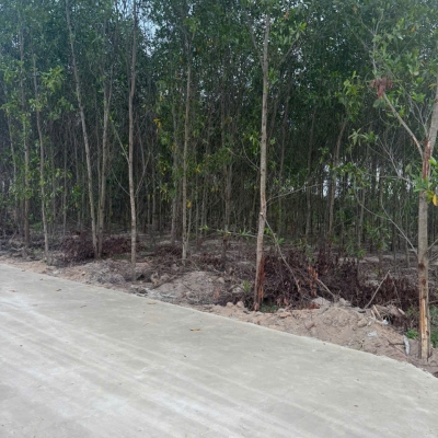 Bán 1148m2 đất Tân Xuân - Hàm Tân chỉ 400 triệu/ sào đường bê tông 6m