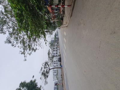 ???? Đất 80m2 Đấu Giá Thuận An (Đặng Xá) Trục Chính MT 7m Sổ Sẵn Giá 7 Tỷ X ???? Lh 0989894845 ????