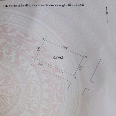✨   ĐẤT KINH DOANH ĐẮC ĐỊA tại Trâu Quỳ, Gia Lâm, Hà Nội. 64m2, mt 6m. Lh 0989894845 ✨