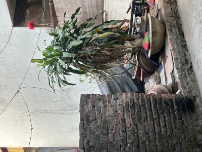 Bán đất Việt Hưng - Oto đỗ cổng -ô tô tránh cực gần Vuông như bánh chưng-50m 6 tỷ (TL)