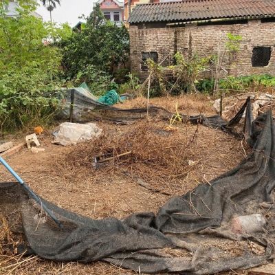 Bán 50m đất Tráng Việt, Mê Linh, HN. Đường thông, oto đỗ đất. Gần dự án cầu Thượng Cát