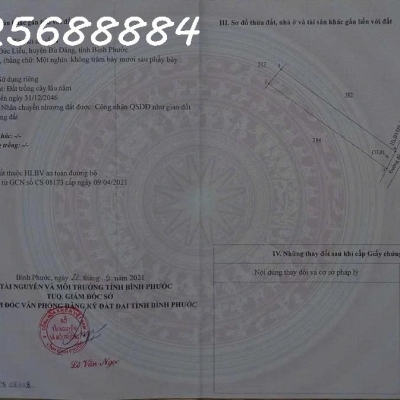 Cần tiền bán nhanh lô đất vườn điều, Thôn 7, Xã Đức Liễu, Bù Đăng. DT 1.076,7m2, giá đầu tư