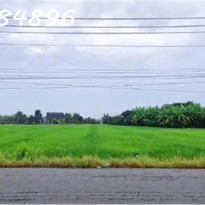 Siêu phẩm - Bán đất mặt tiền đường DT 827B, Châu Thành, Long An, DT 4.000m2, giá đầu tư