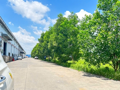 XT218 Nhà Xưởng kiên cố, xưởng trống sẵn sàng bàn giao hoạt động lâu dài ổn định