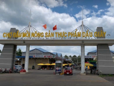 Đất Nền KĐT The Link City – Trung Tâm Dầu Giây, Tiềm Năng Tăng Giá Cao