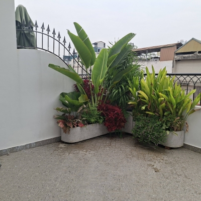 BÁN NHÀ TRẦN DUY HƯNG – Ô TÔ QUA CỬA – THANG MÁY ???????? Gần KS Chamvit – vị trí đẹp, trung tâm, kinh doanh tốt -ở sướng.