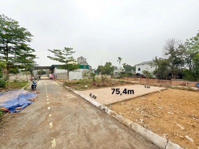 Gia đình có việc gấp muốn bán lô đất 75m ở cánh chủ bình yến giá hai tỷ