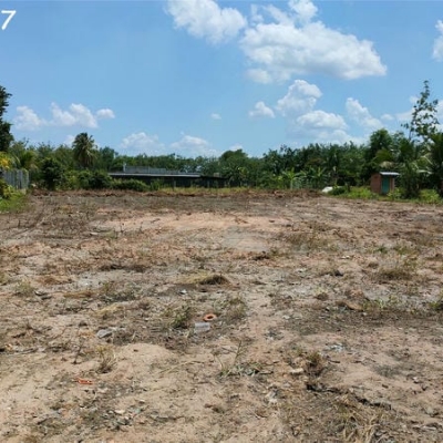 Đất 5m x 52m, giá rẻ, tiềm năng tăng giá cao.