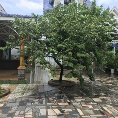 Cho thuê mặt bằng sân vườn cafe 300m2 đường 30/4, TPVT