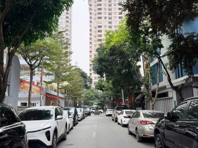 BÁN GẤP BIỆT THỰ ĐƠN LẬP PHỐ THỌ THÁP (KĐT DỊCH VỌNG), QUẬN CẦU GIẤY