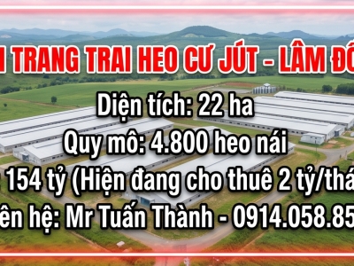 Bán Trang trại heo 22 Ha 4.800 heo nái -Cư Jut,  Đăk Nông. Đang cho thuê 2 tỷ/tháng