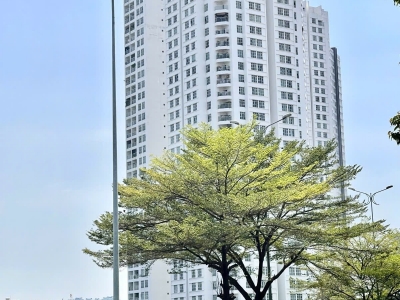 Bán nhà mặt phố q7 trần xuân soạn: 1322m2, 3 tầng, 30pn, 32wc - giá 265 tỷ - sổ hồng, vị trí vàng, kinh doanh đỉnh cao!